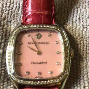 David Yurman women' s Thoroughbred T-303 SST A-13315 Ladies Watch Pre -owned